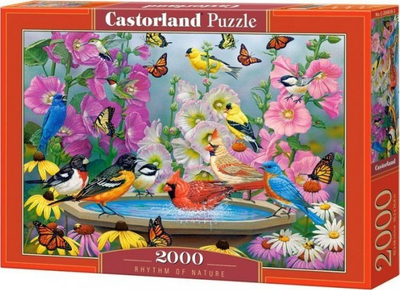 Puzzle Castorland Rhythm of Nature, 2000 copa, shumëngjyrësh