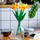 Set ndërtimi LEGO Icons Daffodils 40747, 216 pjesë, 8+, shumëngjyrësh