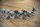 Zgjerim miniatura Happyshops Platformer Miniatures Extension, set figurash, shumëngjyrësh