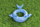 Rreth noti Bestway Swimming Ring Whale, 84x71cm, blu