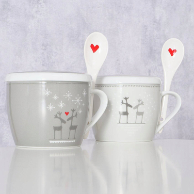 Filxhan Boltze Home Lovelies Pattern 2, 600 ml, me kapak dhe lugë, gri e çelët