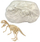 Set lodër paleontologjie për gërmim skeleti dinosauri, 8 modele, me mjete dhe syze mbrojtëse