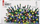 Drita festive Emos, 500 LED shumëngjyrëshe, 50 m