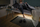 Shirit LED Paulmann 78894 Comfort Set, 2m, me sensor lëvizje, 24V, dritë e bardhë e ngrohtë