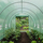 Mbulesë tuneli kopshti Edenia PE 140g, 6x3x2m, filtër UV6, jeshile