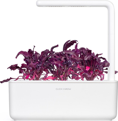 Kapsula bimore Click and Grow Red Leaf Beet, refill për kopsht inteligjent, paketim 3 copë, e bardhë