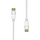 Kabllo DisplayPort ProXtend 1.2, 2m, e bardhë