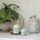 Qiri aromatik Yankee Candle Signature Aloe & Agave, 368g, me dy fitila, në kavanoz qelqi