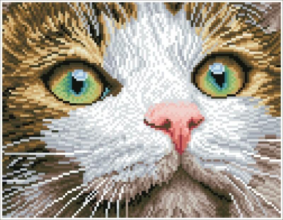 Set artistik me diamante Diamond Dotz Green Eyed Beauty, 14x11", i kornizuar