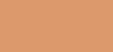 Krem pudër MAC Cosmetics Matte SPF 15 Studio Fix 30 ml, C5.5