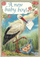 Kartë urimi Madame Treacle Birth Stork Boy, formati B6, me zarf, për çun