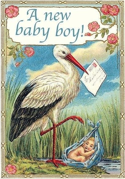 Kartë urimi Madame Treacle Birth Stork Boy, formati B6, me zarf, për çun