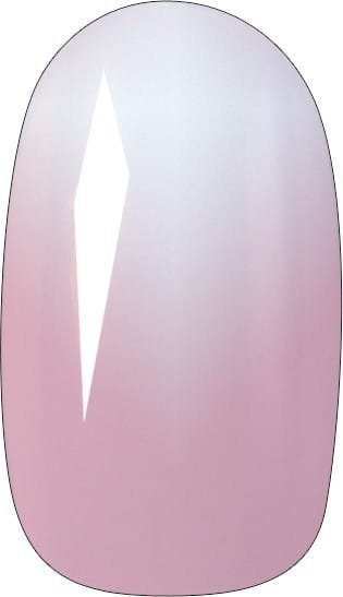 Thonj të rremë Top Choice Ombre 78439, 24 copë