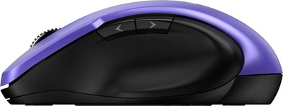 Maus Genius Ergo, wireless, USB, vjollcë