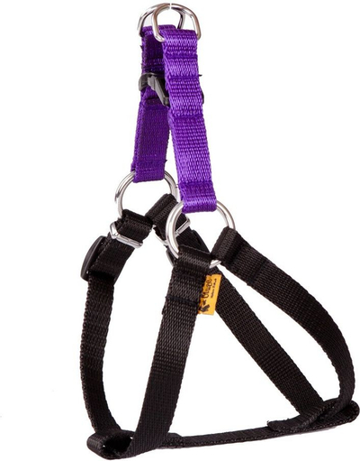 Shapton Dingo Fred Energy, parzmore për qen 60 cm, 1.6 cm e gjerë, lejla me të zezë