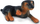 Figurinë kafshe Collecta Doberman Puppy, lodër për me mësu, me detaje si e gjallë, shumëngjyrëshe