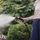 Pistole ujitëse Fiskars FiberComp Multi Spray Gun, 5 funksione, rrjedhë e rregullueshme, portokalli