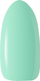 Llak thonjsh hibrid Activeshop OCHO NAILS Rainbow R10, 5 g, shumëngjyrësh