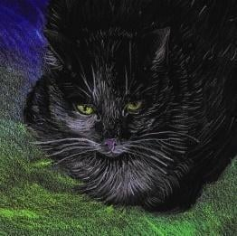 Fletore EMG Notes Ecological Cats, letër e ricikluar, dizajn me mace, ngjyrë natyrale