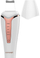 Pastrues për fytyrë Concept Perfect Skin PO2040