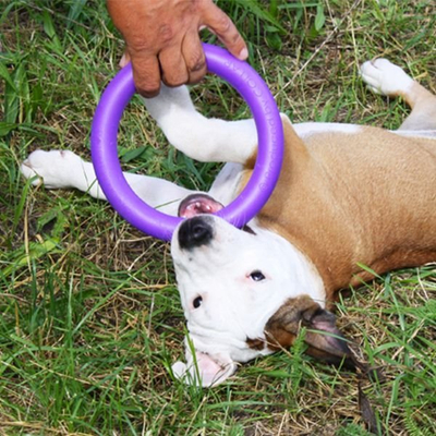 Lodër fitnesi për qen Collar Puller Micro, 13 cm, vjollcë
