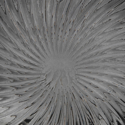 Vazo qelqi Atmosphera Glass Shell, 32 cm, për zbukurim, gri e errët