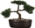 Pemë artificiale Atmosphera Bonsai, 23 cm, me vazo qeramike, e zezë