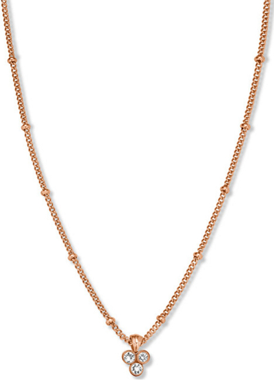 Qafore Rosefield TOCCOMBO JTNTRG-J443