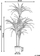 Bimë artificiale Dracaena Anita, 147 cm, jeshile, vazo e zezë