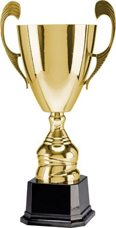 Kupë sportive Victoria Sport Metal Cup T M, 30cm, metal, ngjyrë flori