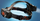 Fener koke Tiross HEADLAMP, LED COB, sensor lëvizjeje, e zezë