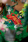 Set ndërtimi LEGO Icons Peaceful Garden 10315, model kopsht japonez, dekorativ, shumëngjyrësh