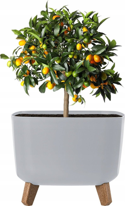 Vazo lulesh Pafen GRACIA SQUARE, 29 cm, plastike, gri e hapur