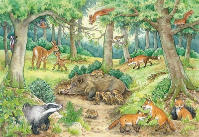 Puzzle për kalamaj Ravensburger Animals in the Forest and in the Meadow, 2x12 copa, nga 3 vjeç, shumëngjyrësh