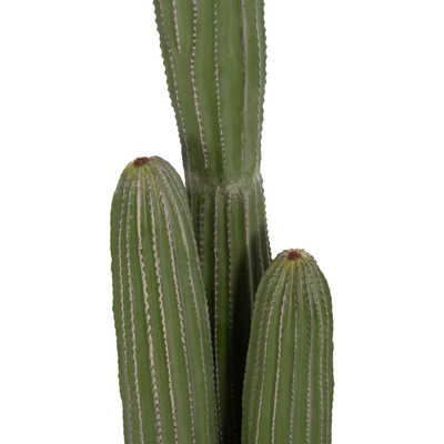 Bimë dekorative sintetike HM4745, kaktus me vazo, 144cm, jeshile