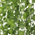 Garlandë artificiale Ivy Gardlov 19735, 25.2 m, jeshile