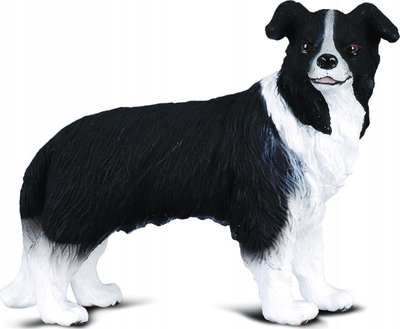 Figurinë qeni Collecta Border Collie M, plastikë, shumëngjyrëshe