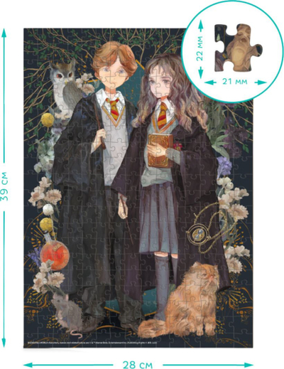 Puzzle Dodo Harry Potter Hermione and Ron, 300 pjesë, 39x28cm, shumëngjyrësh