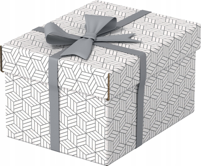 Set kuti ruajtje Esselte Home Storage and Gift Box Small 628280, set 3 copë, të bardha