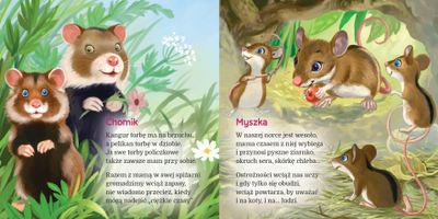 Libër me poezi për kalamaj “In a Field in Europe”, me figura, me shumë ngjyra