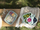 Enë kuzhine Curver Lunch Kit, drejtkëndore, me kapak, transparente