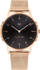 Orë dore Tommy Hilfiger 1791586