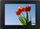 Kornizë dixhitale Braun DigiFrame 857, 8", 1024x768, e zezë