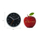 Orë me alarm Nextime 5194ZW
