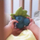 Kafshuese për bebin Oli & Carol Jerry the Blueberry, gome natyrale, 8 cm, blu