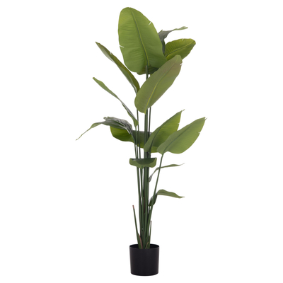 Bimë dekorative sintetike HM4739 Strelitzia, 172cm, me vazo 18cm, në vazo të zezë