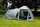 Tendë kampingu Coleman Waterfall 5 Deluxe (053-L0000-204391-42), e gjelbër