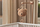 Loder me muzike Teddy - Biscuit