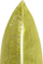 Jastëk dekorativ Beliani DELICIOSA, set 2 copë, kadife, 45 x 45 cm, jeshile e hapur