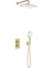 Set dushi i fshehur KFA Malaga, termostatik, brushed gold PVD